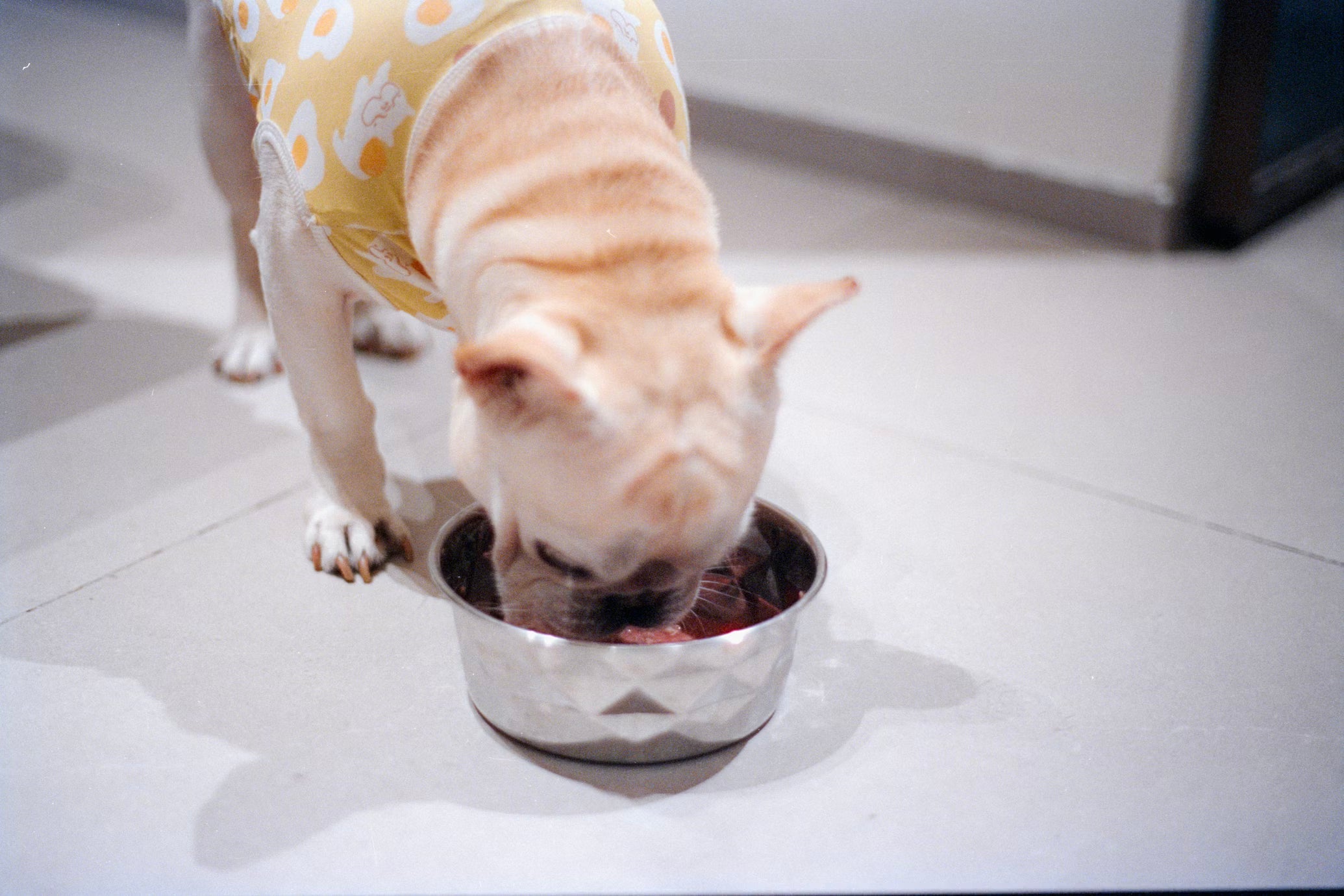 Feeding