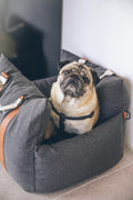 The Cloud Lounger