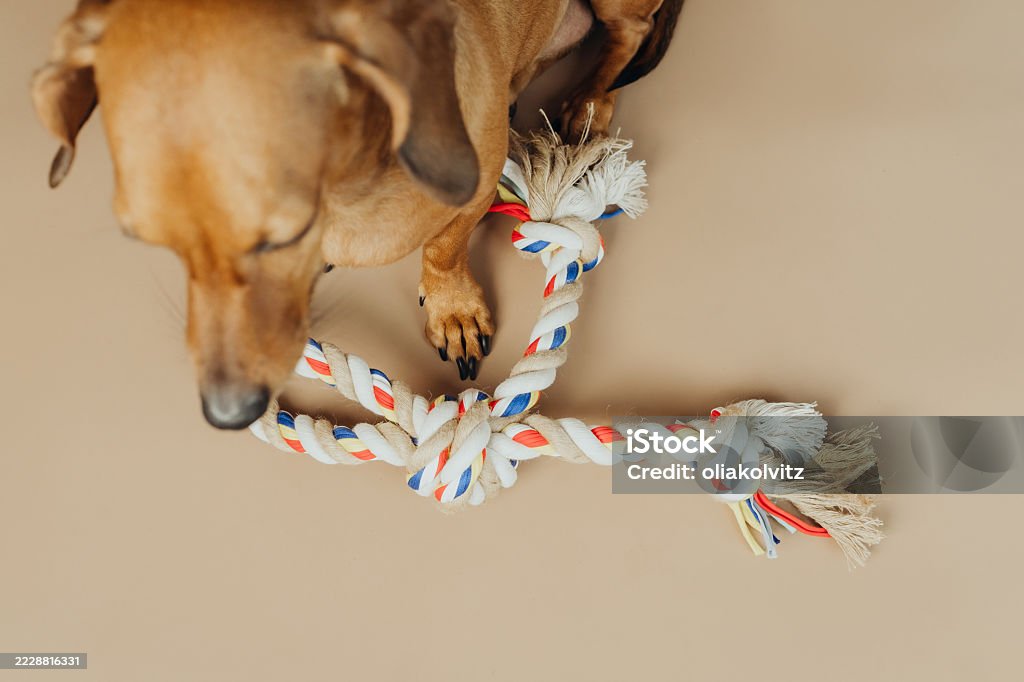 The Twist Rope